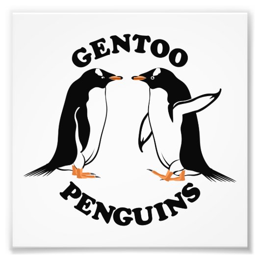 Gentooペンギン フォトプリント (正面)