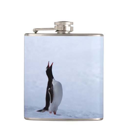 Gentooペンギン フラスク (正面)