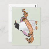 Gentooペンギン ポストカード (正面/裏面)