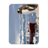 Gentooペンギン マグネット (縦)