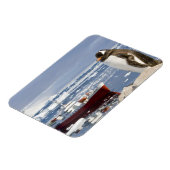 Gentooペンギン マグネット (左側)