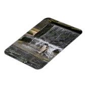 Gentoo Penguin & Friendsエディンバラ動物園スコットランド マグネット (左側)