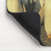 Gentoo Penguins, (Pygoscelis papua)，フォークランド マウスパッド (コーナー)