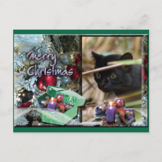 Geoffroy Catクリスマスポストカード シーズンポストカード