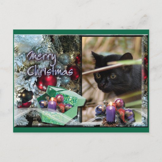Geoffroy Catクリスマスポストカード シーズンポストカード (正面)