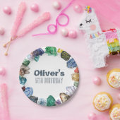 Geology Birthday Rocks Dig Party ペーパープレート (パーティー)