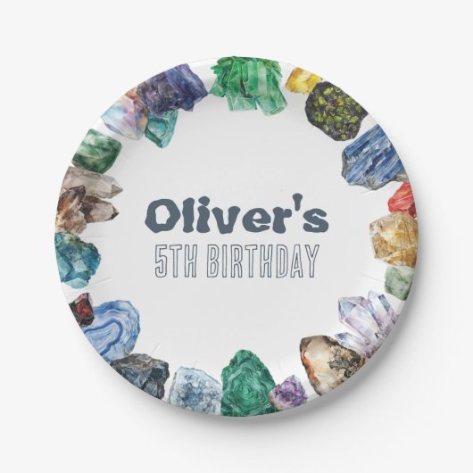 Geology Birthday Rocks Dig Party ペーパープレート (正面)