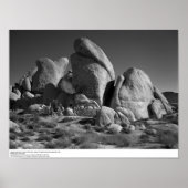 Geology Class with Dr. Eaton, 1966 ポスター (正面)