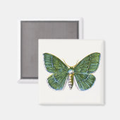 Geometra papilionaria – 大エメラルド蛾 マグネット (正面/裏面)