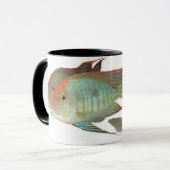 Geophagus sp。 "Tapajosオレンジ頭部" マグカップ (正面左)