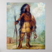 George Catlin A-wun-ne-wa-be, Bird of Thunder ポスター (正面)