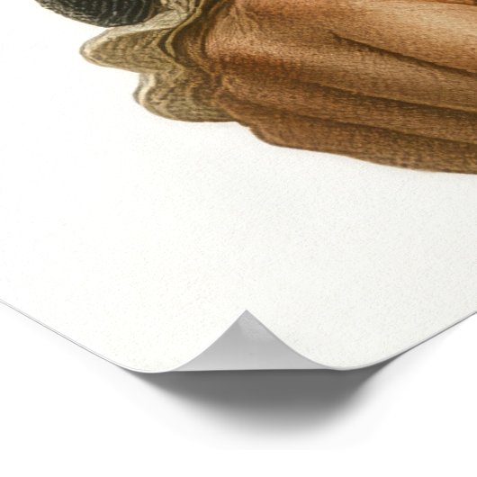 George Danton - French Revolution Print ポスター (角)