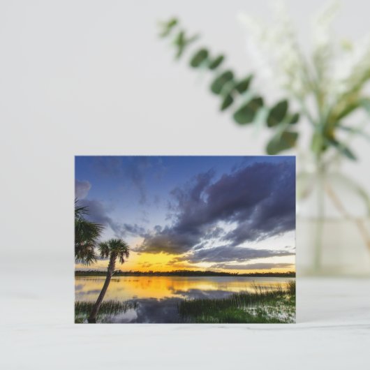 George Lestrange Preserve, Fort Pierce, Florida ポストカード (スタンド正面)