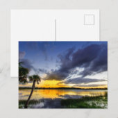 George Lestrange Preserve, Fort Pierce, Florida ポストカード (正面/裏面)