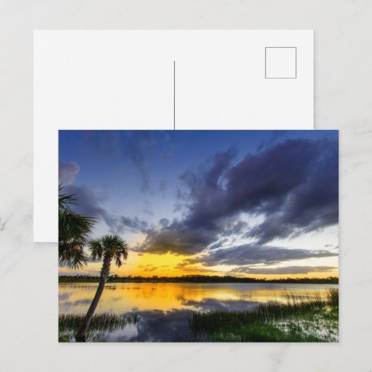 George Lestrange Preserve, Fort Pierce, Florida ポストカード (正面/裏面)