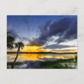 George Lestrange Preserve, Fort Pierce, Florida ポストカード (正面)
