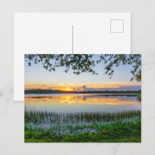 George Lestrange Preserve, Fort Pierce, Florida ポストカード (正面/裏面)