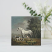 George Stubs - A Apple Gray Hunter シーズンカード (スタンド正面)