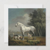 George Stubs - A Apple Gray Hunter シーズンカード (正面)