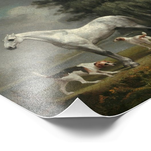 George Stubs - A Apple Gray Hunter フォトプリント (角)