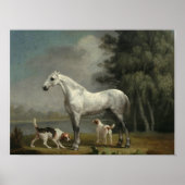 George Stubs - A Apple Gray Hunter ポスター (正面)