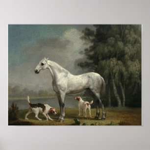 George Stubs - A Apple Gray Hunter ポスター