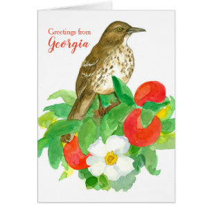 Georgia Brown Thrasherの挨拶空白の文