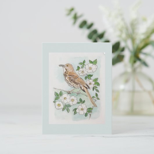 Georgia state bird and flower ポストカード (スタンド正面)