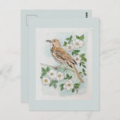 Georgia state bird and flower  ポストカード (正面/裏面)