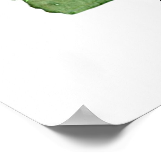 Georgia State Shape Bird Brown Thrasher ポスター (角)