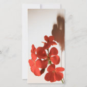 Geranium 1悔やみや弔慰サンキューフォトカード サンキューカード (裏面)