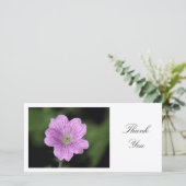 Geranium Endressii – ありがとう サンキューカード (スタンド正面)