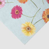 Gerbera,pink,red,orange,yellow wrapping 薄葉紙 (詳細)