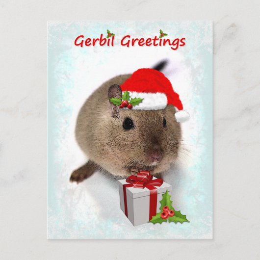 Gerbil Greetingsはがき ポストカード (正面)