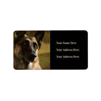 German Shepherdの写真住所 シール