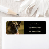 German Shepherdの写真住所 シール (インサイチュ)