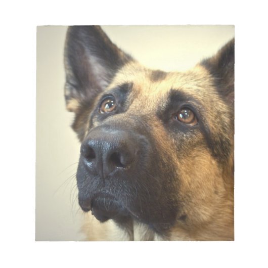 German Shepherd写真メモ帳 ノートパッド (正面)