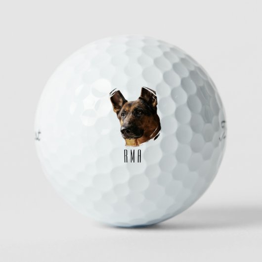German Shepherd ゴルフボール (正面)