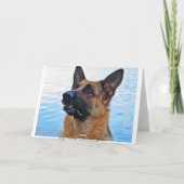 German Shepherd – ドッグカード カード (裏面)