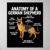 German Shepherd  ポスター (正面)
