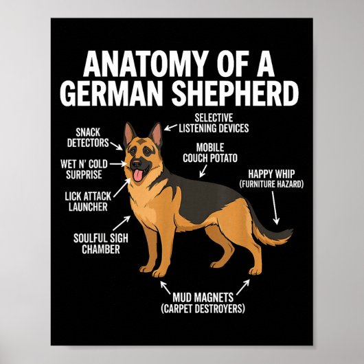 German Shepherd  ポスター (正面)
