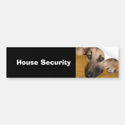 German Shepherd Bumper Sticker バンパーステッカー (正面)
