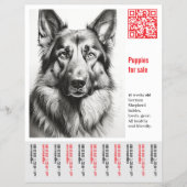 German Shepherd Dog Flyer  チラシ (正面)