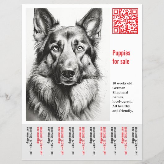 German Shepherd Dog Flyer  チラシ (正面)