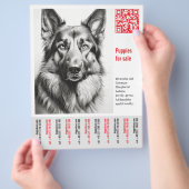 German Shepherd Dog Flyer  チラシ (手)