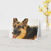 German Shepherd Dog Photo Greeting Card カード (黄色い花)
