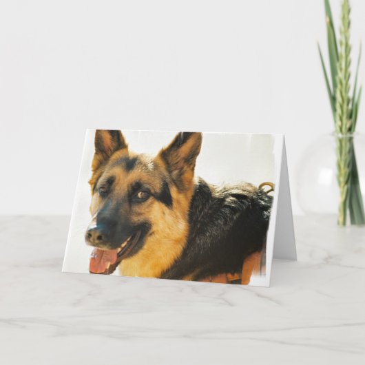 German Shepherd Dog Photo Greeting Card カード (正面)