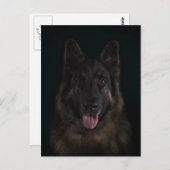 German shepherd dog portrait ポストカード (正面/裏面)