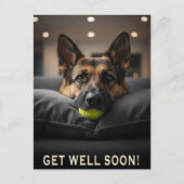 German Shepherd Get Well Postcard ポストカード (正面)
