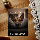 German Shepherd Get Well Postcard ポストカード